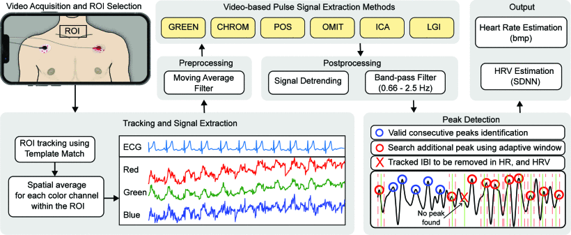 Contactless heart rate and heart rate variability estimation from neck videos